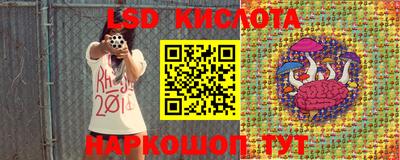 прущие грибы Краснодар