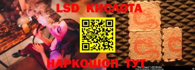 прущие грибы Краснодар