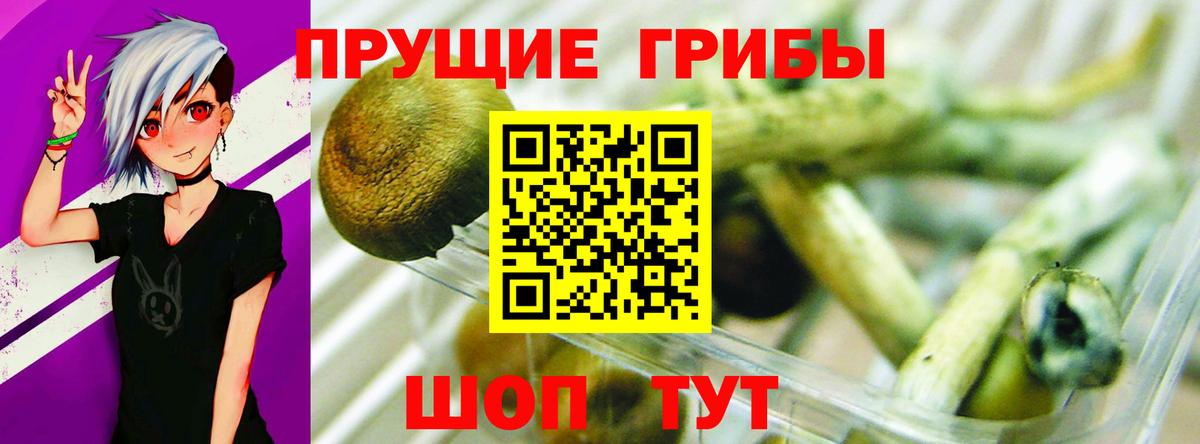 Псилоцибиновые грибы ЛСД  Вход с VPN  Калуга 